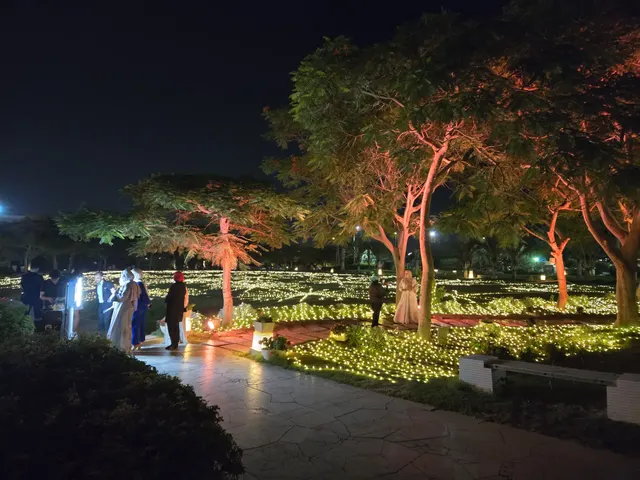 Lighting · Image 5